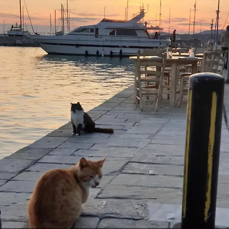 Kali Stalonia Νικήτη
