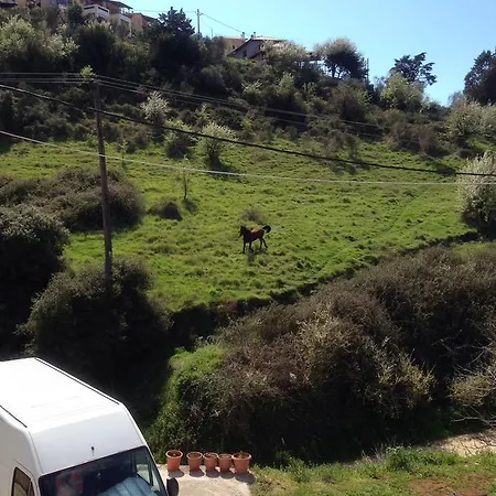 Διαμέρισμα Kali Stalonia Νικήτη